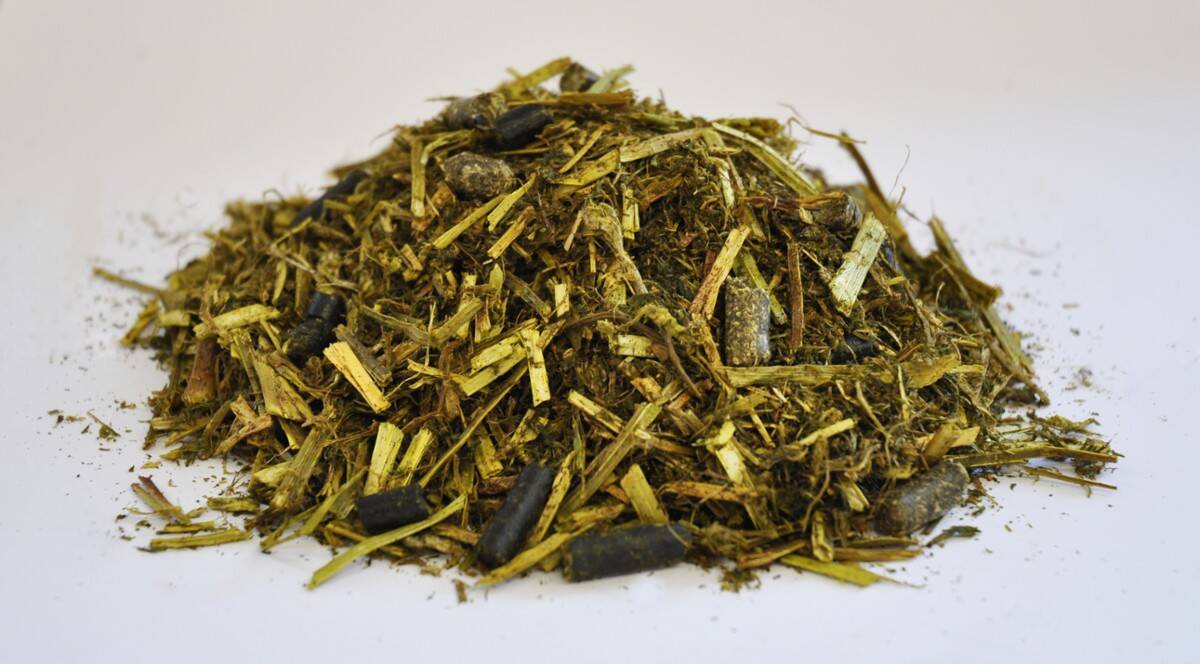 Dengie ALFA-A Molasses Free 20 kg