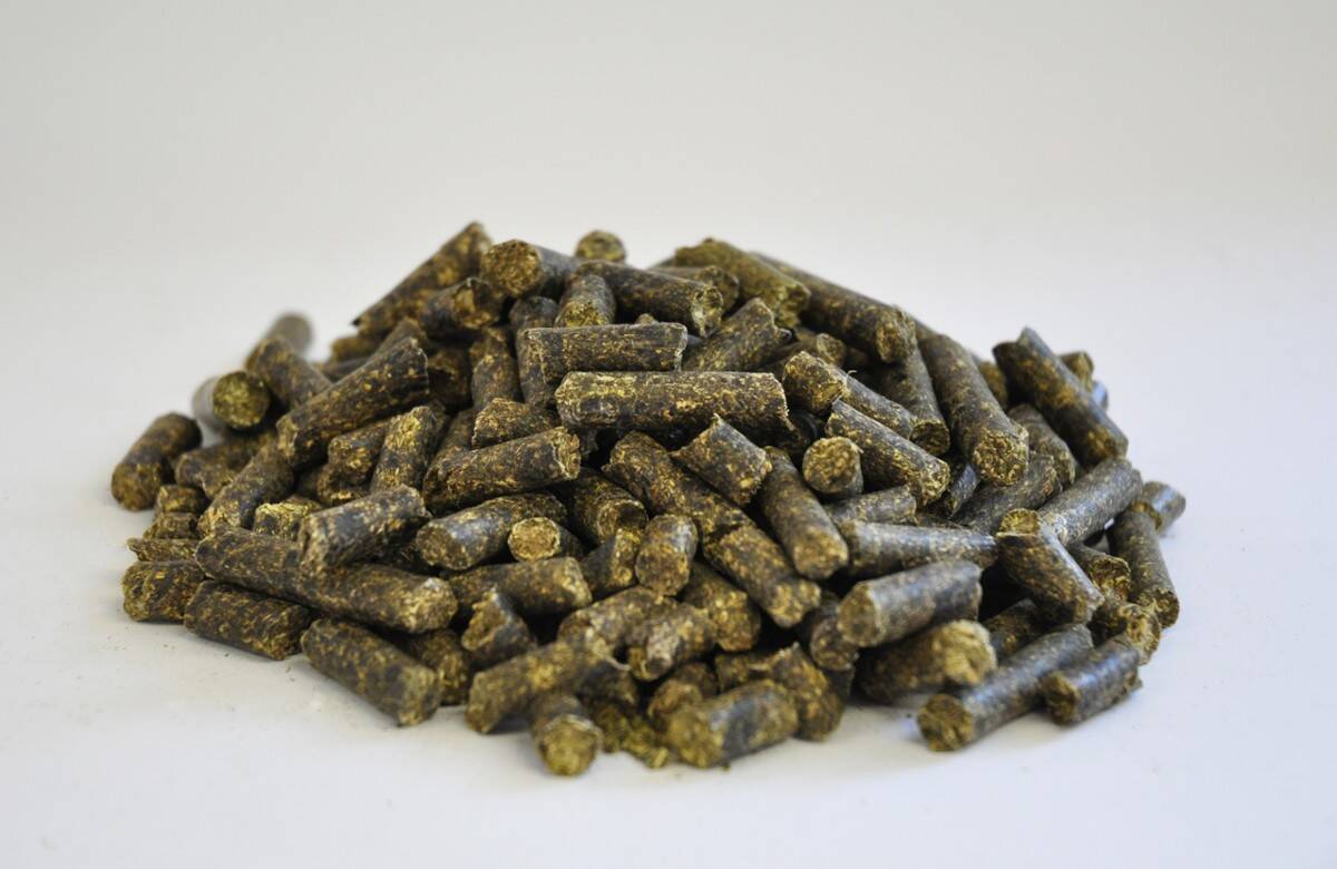 Dengie ALFA-BEET 20 kg