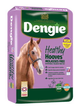 Dengie Healthy Hooves Molasses Free z MSM 15 kg