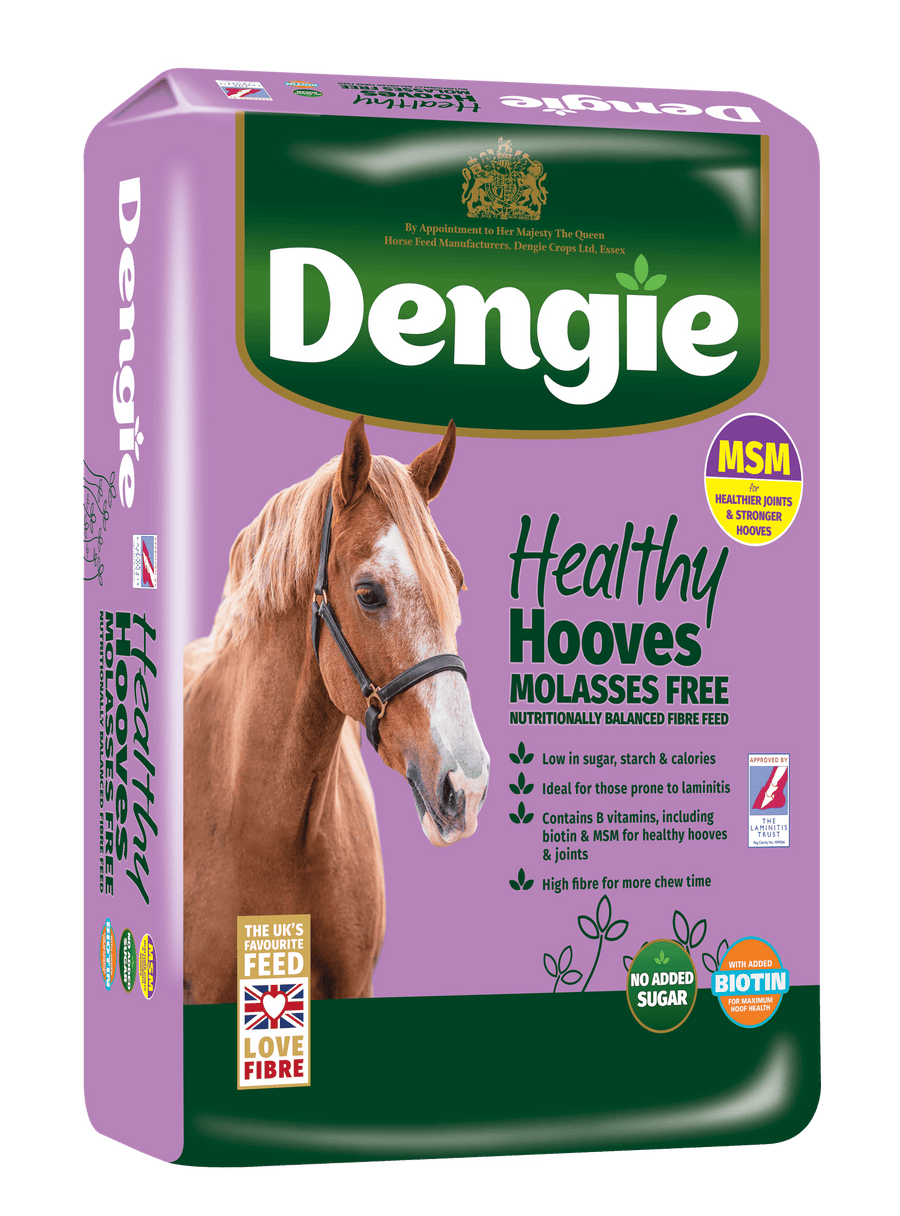 Dengie Healthy Hooves Molasses Free z MSM 20 kg