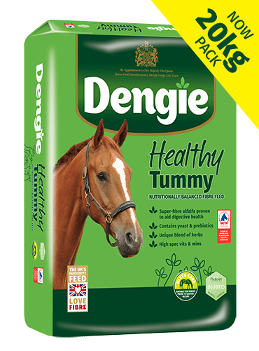Dengie Healthy Tummy 20 kg