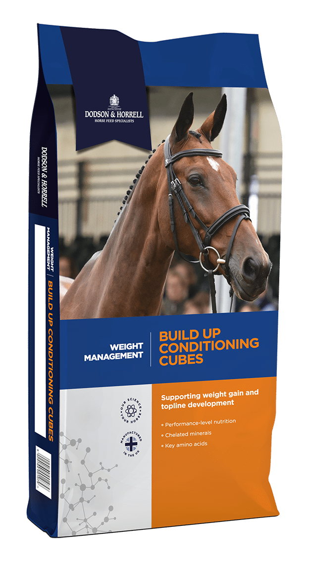 Dodson & Horrell Build Up Cubes 20 kg