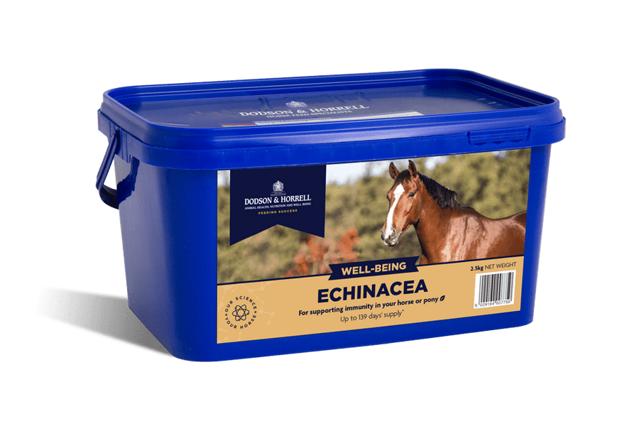 Dodson & Horrell Echinacea 1 kg