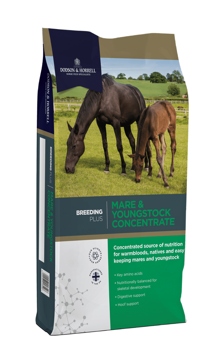 Dodson & Horrell Mare & Youngstock Concentrate 20 kg