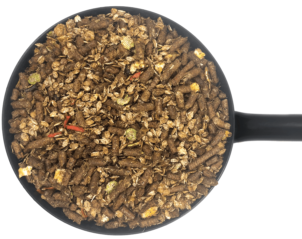 Dodson & Horrell Pasture Mix 20 kg