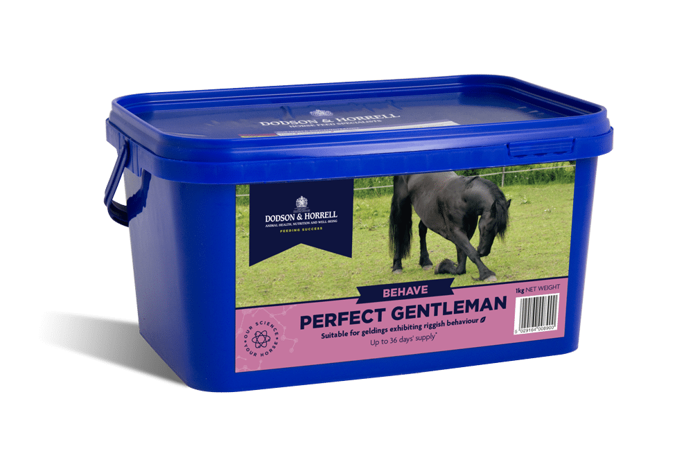 Dodson & Horrell Perfect Gentleman 1 kg