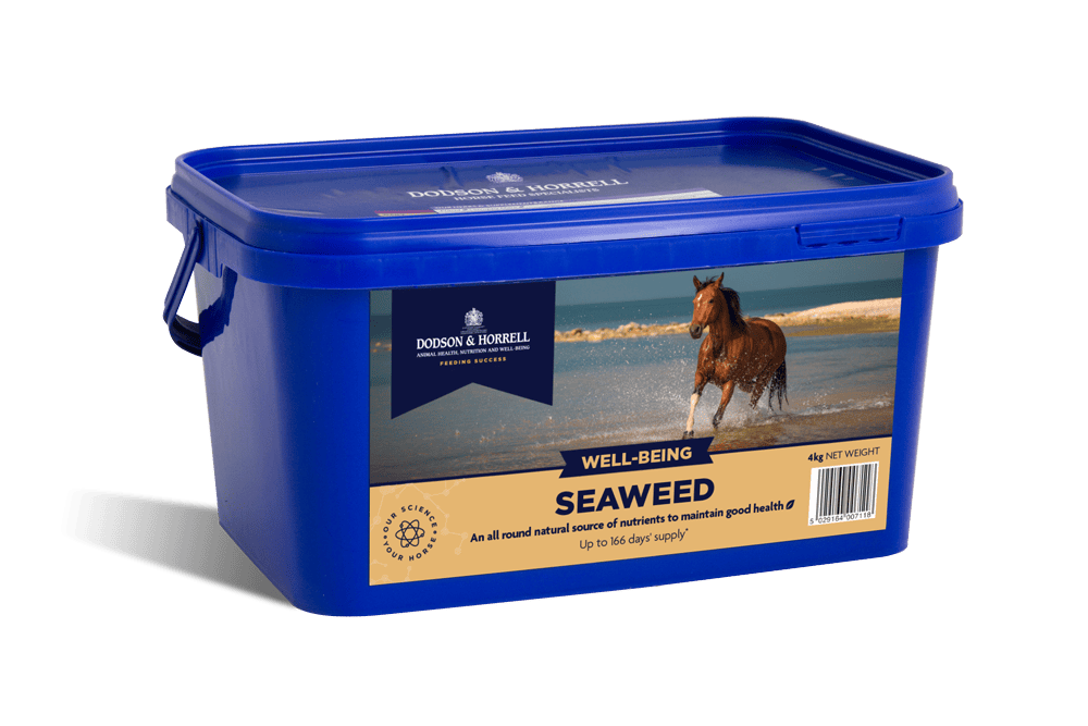 Dodson & Horrell Seaweed 2 kg