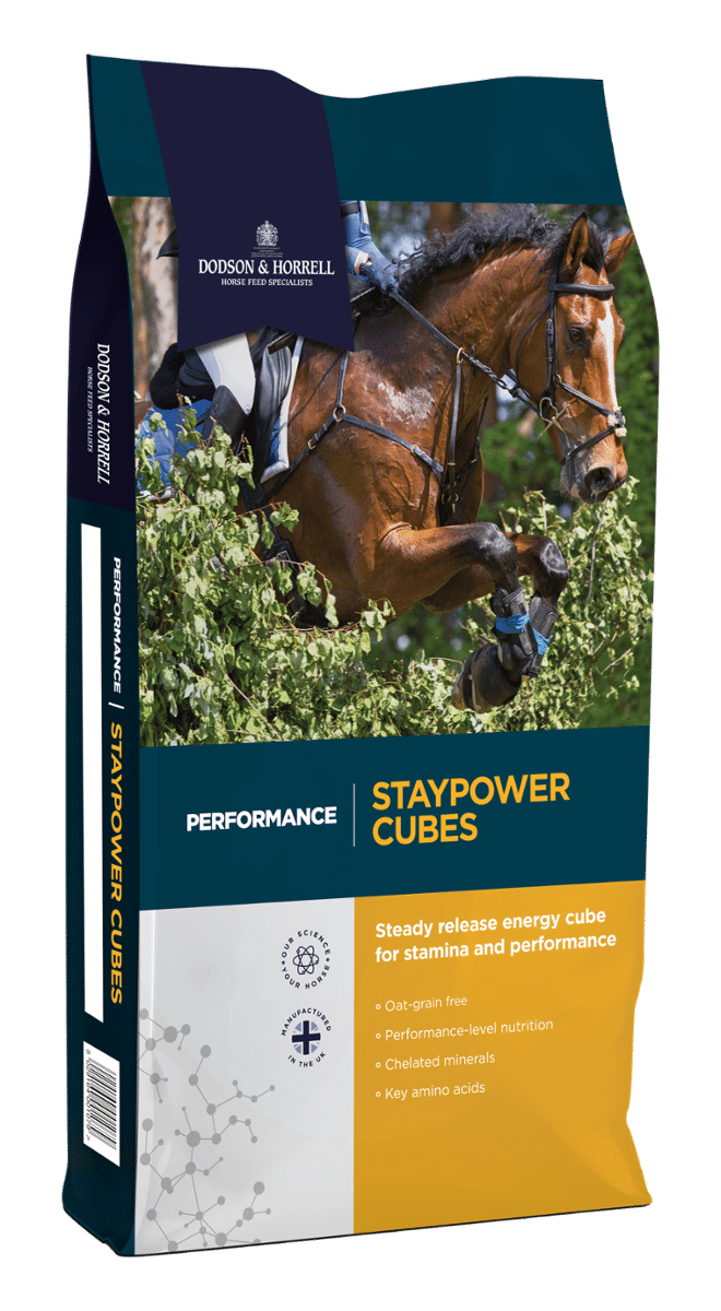 Dodson & Horrell Staypower Cubes 20 kg