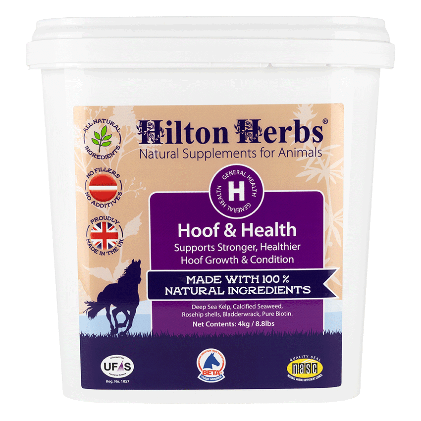 Hilton Herbs Hoof & Health 4 kg TUB