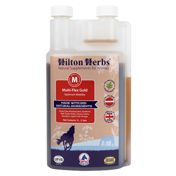 Hilton Herbs Multiflex Gold 1 l