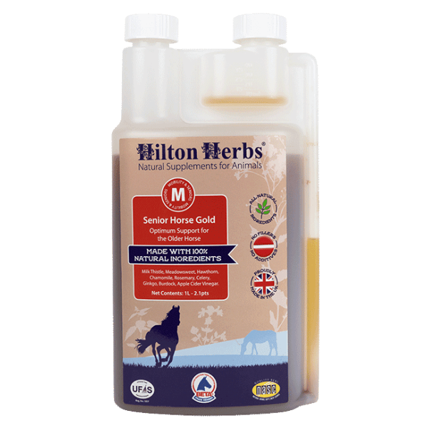 Hilton Herbs Senior Horse Gold 1 l