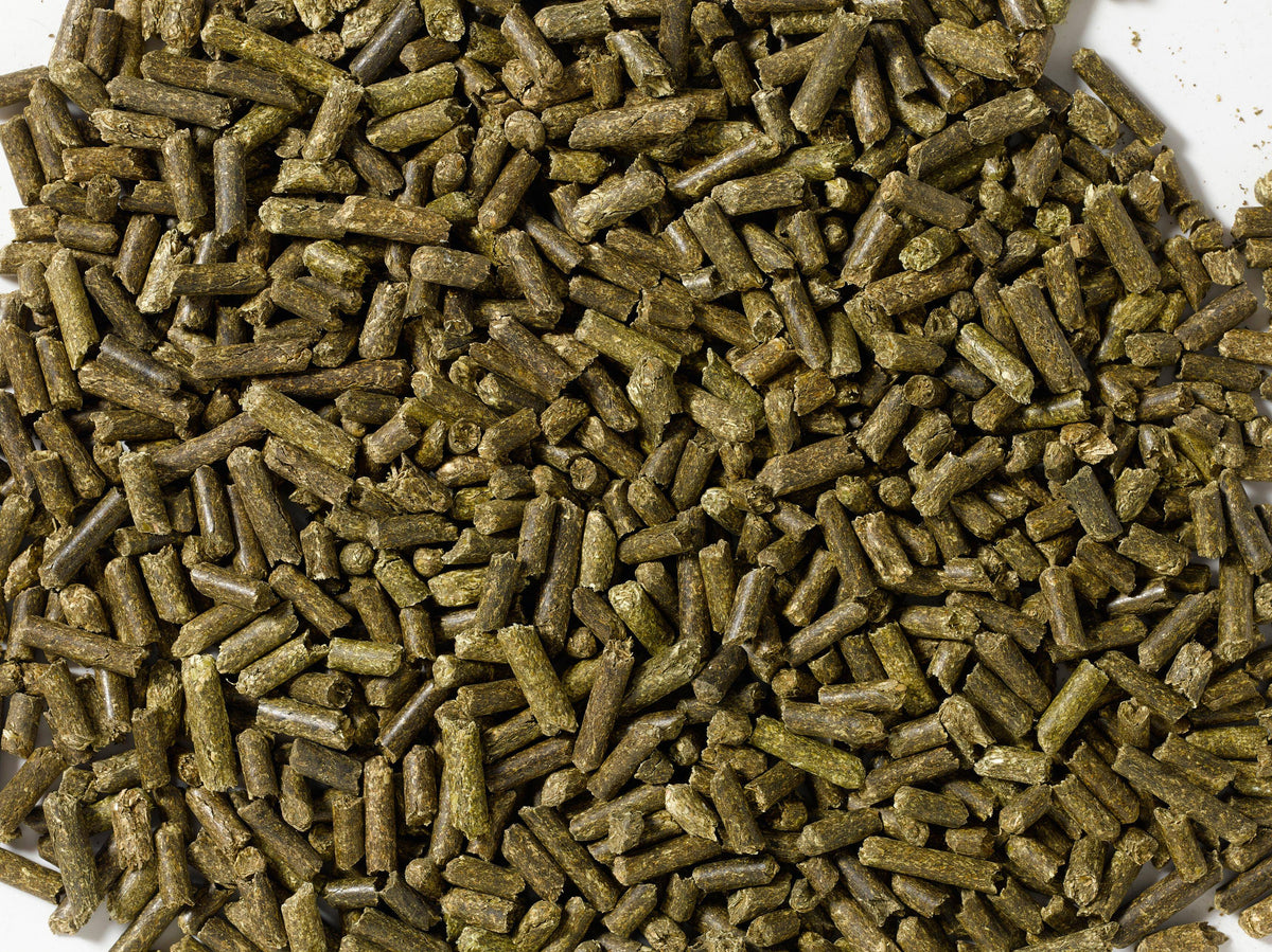 Saracen Alfalfa Pellets 20 kg