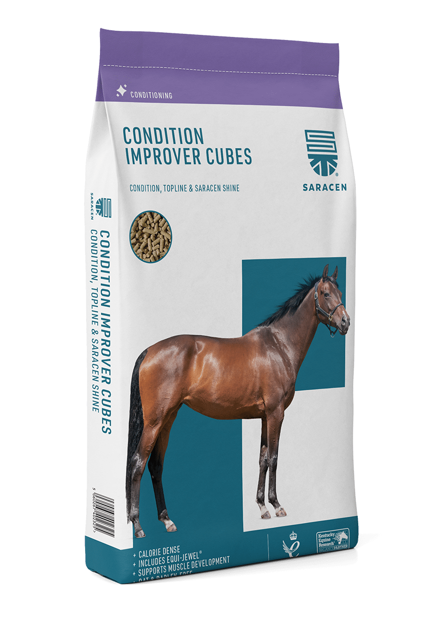 Saracen Condition-Improver Cubes 20 kg
