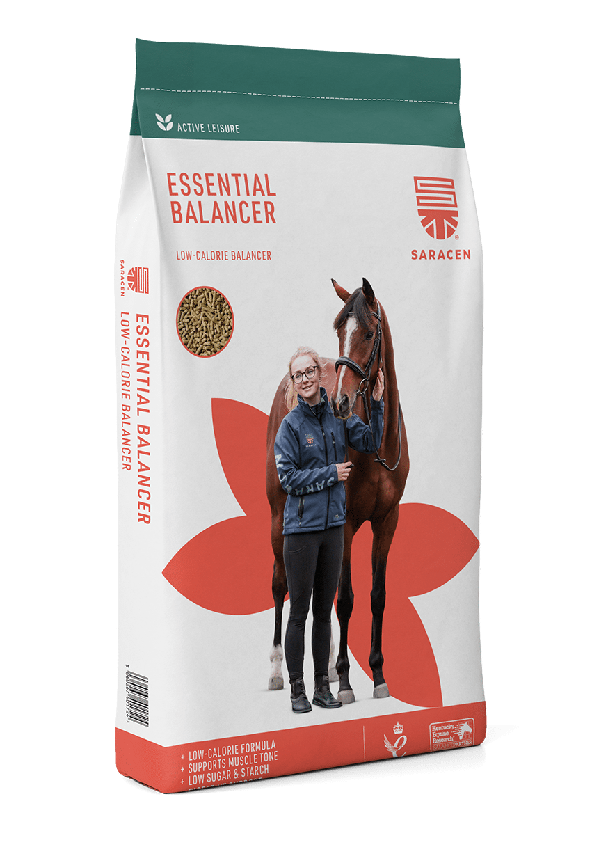 Saracen Essential Balancer 20 kg