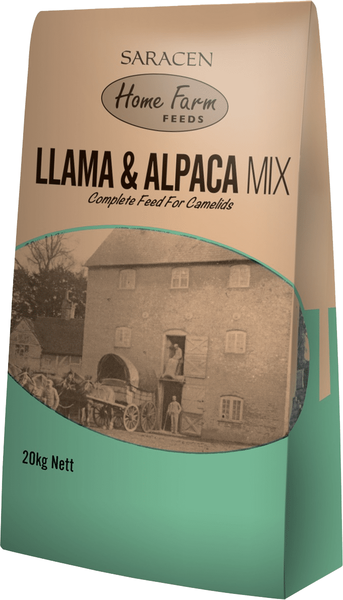 Saracen Llama & Alpaca Maintenance Mix 20 kg