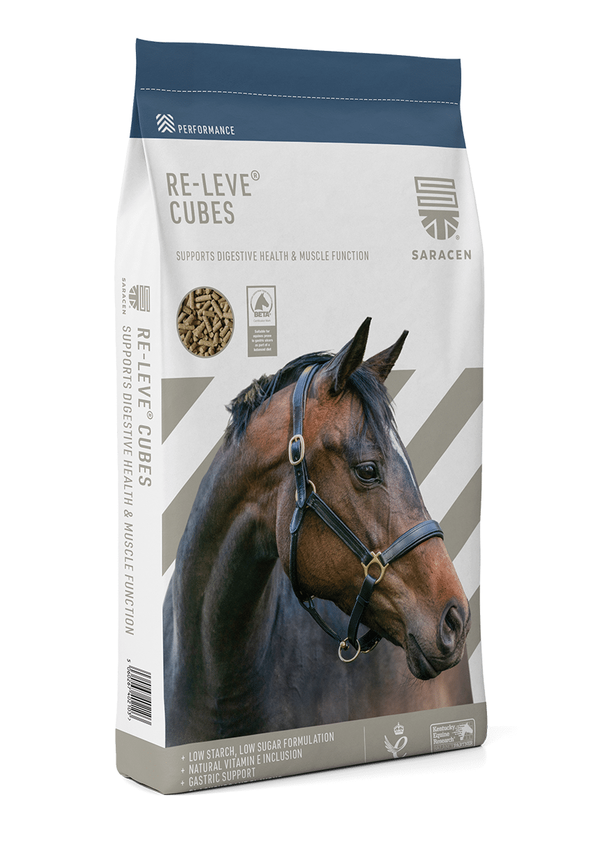 Saracen Re-leve Cubes 20 kg