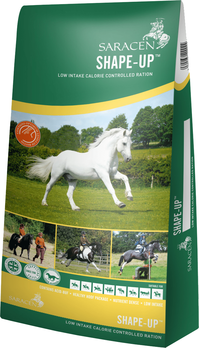 Saracen Shape - Up 20 kg