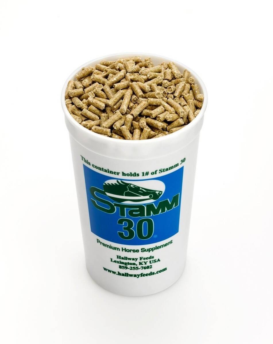 Saracen Stamm 30 Concentrate 20 kg