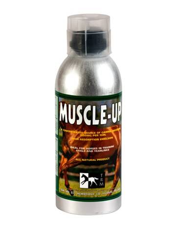 TRM Muscle-Up 960 ml
