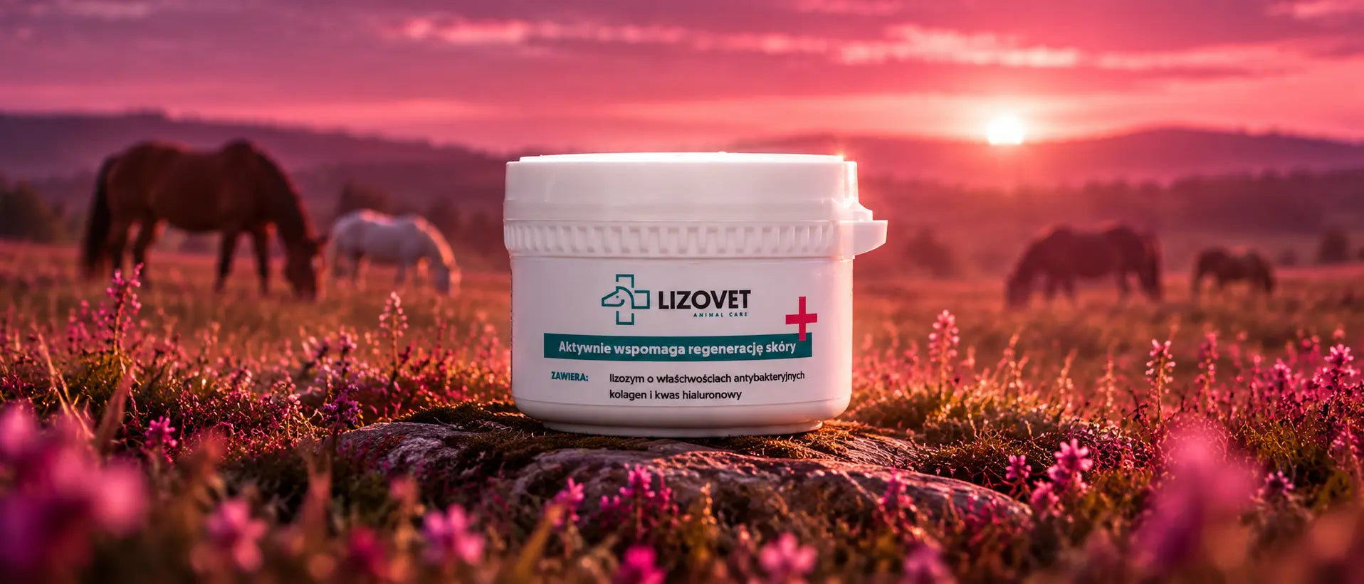 Oferta Lizovet